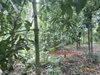 listing thumbnail image 11