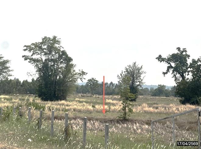 picture LAND 1200 Sq.w. Nong Rua Khon Kaen for 3.6M - 4/15