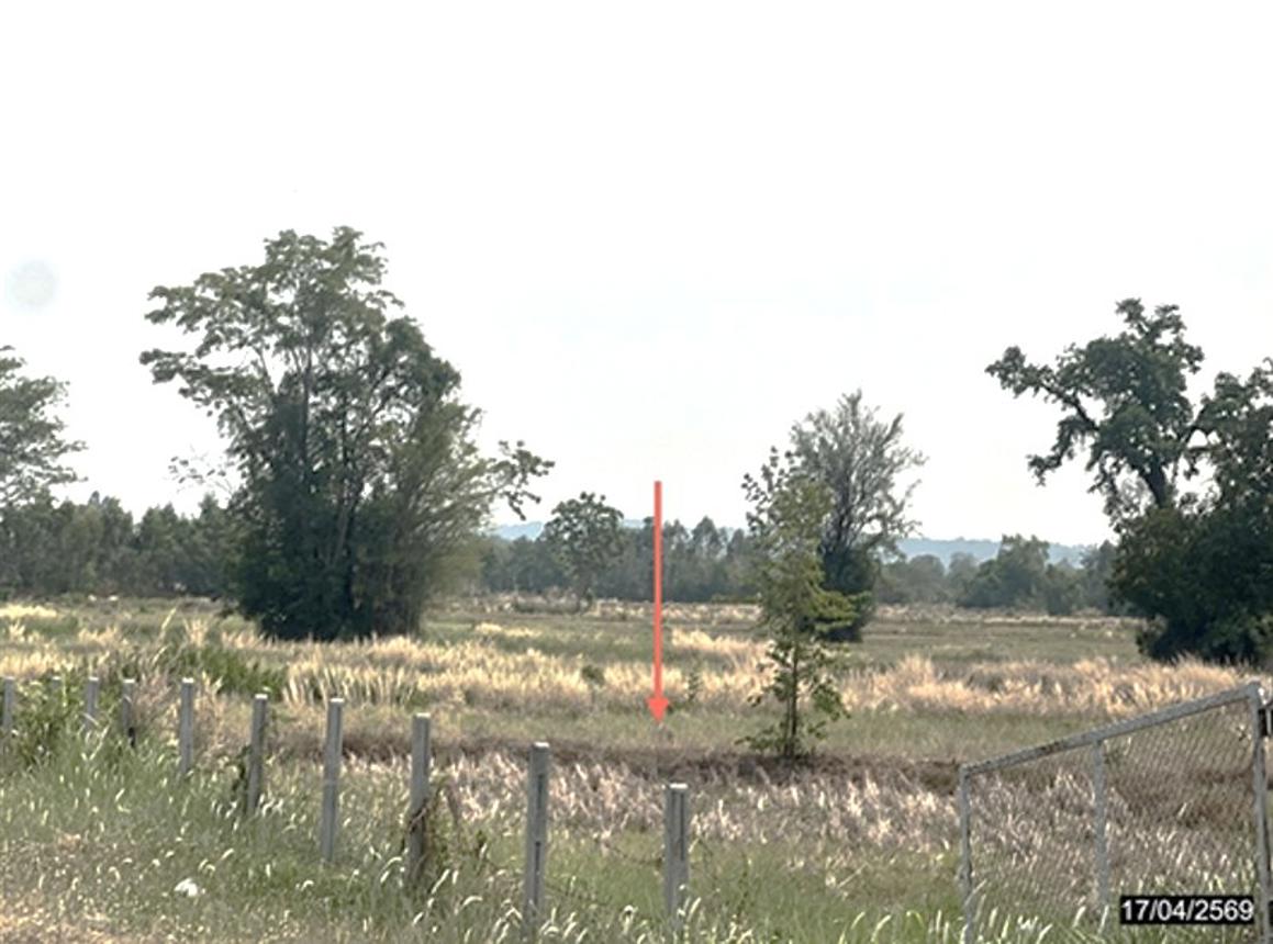 picture LAND 1200 Sq.w. Nong Rua Khon Kaen for 3.6M - 9/15
