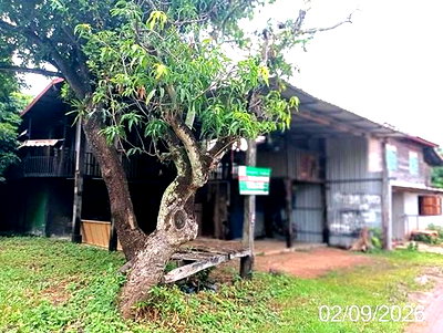 Houses for sale Udon Thani : HOME 78 Sq.w. Phen Udon Thani for 442,000