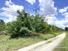 listing thumbnail image 12