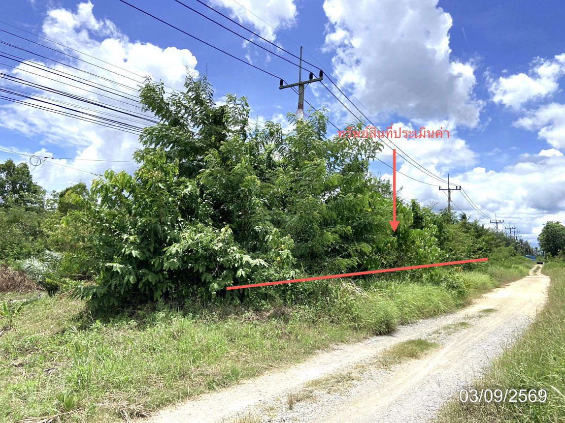 รูป ที่ดินว่างเปล่า 1610.7 ตร.วา รัตภูมิ สงขลา 14.5M - รูปที่ 13/21