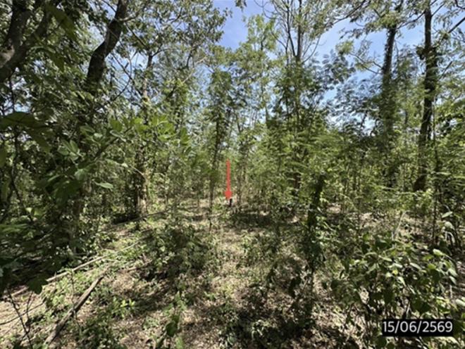 picture LAND 1100.4 Sq.w. Muang Maha Sarakham Maha Sarakham for 5.5M - 6/15