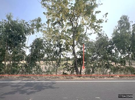 picture LAND 1200 Sq.w. Nong Rua Khon Kaen for 3.6M - 12/15