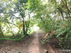 listing thumbnail image 13