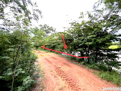 ที่ดิน โคกสำโรง ลพบุรี : ที่ดินว่างเปล่า 200 ตร.วา โคกสำโรง ลพบุรี 250,000