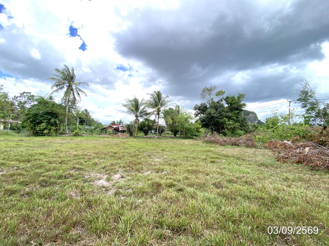 รูป ที่ดินว่างเปล่า 1610.7 ตร.วา รัตภูมิ สงขลา 14.5M - รูปที่ 16/21