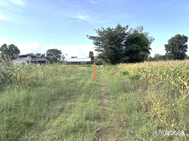 รูป เพิงอเนกประสงค์ 5197.9 ตร.วา เดชอุดม อุบลราชธานี 2.7M - รูปที่ 4/21
