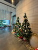 listing thumbnail image 26