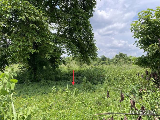 picture LAND 4000 Sq.w. Chon Daen Phetchabun for 2.4M - 4/15