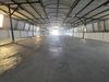 listing thumbnail image 11