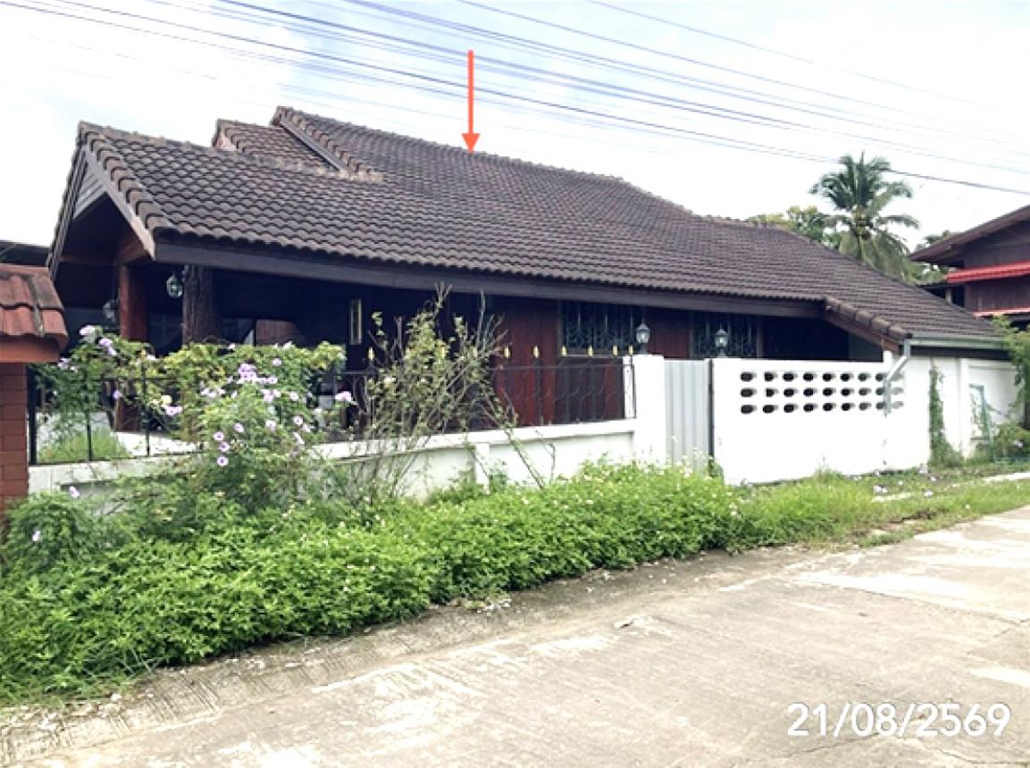 รูป โกดัง 223 ตร.วา เวียงชัย เชียงราย 5.9M - รูปที่ 12/17