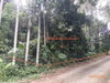 listing thumbnail image 13
