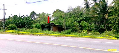Houses for sale Yala : HOME 540 Sq.w. Yaha Yala for 1.6M