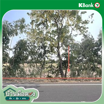 picture LAND 1200 Sq.w. Nong Rua Khon Kaen for 3.6M - 13/15
