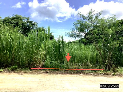 Land for sale Tha Sae Chumphon : LAND 26 Sq.w. Tha Sae Chumphon for 338,000