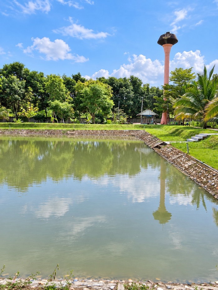 picture Garden Land & House with Fish Pond & Irrigation System - 6/11