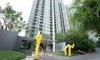 listing thumbnail image 8