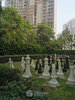 listing thumbnail image 12