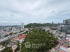 listing thumbnail image 13