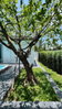 listing thumbnail image 33