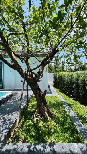 picture 🔥 Luxury Pool Villa @ Kad Farang Hang Dong | Saltwater Pool | Fully Furnished | Move-in Ready | Only 17.5 Million THB ✨ - 34/37