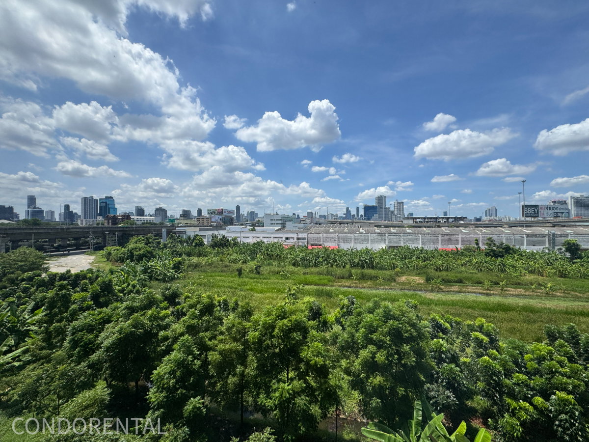 picture @Condorental condo for rent Rise Rama 9 - 11/14