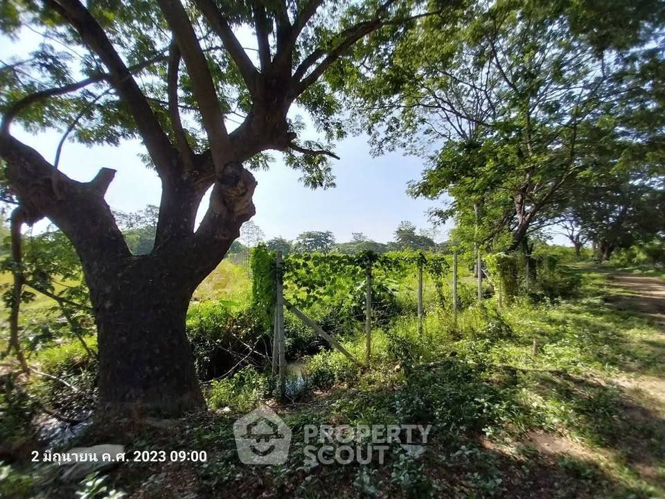 รูป ที่ดินให้เช่า ย่านหนองแฝก สารภี เชียงใหม่ (ID 3383693) - รูปที่ 7/7