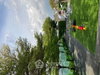 listing thumbnail image 11