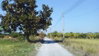 listing thumbnail image 4