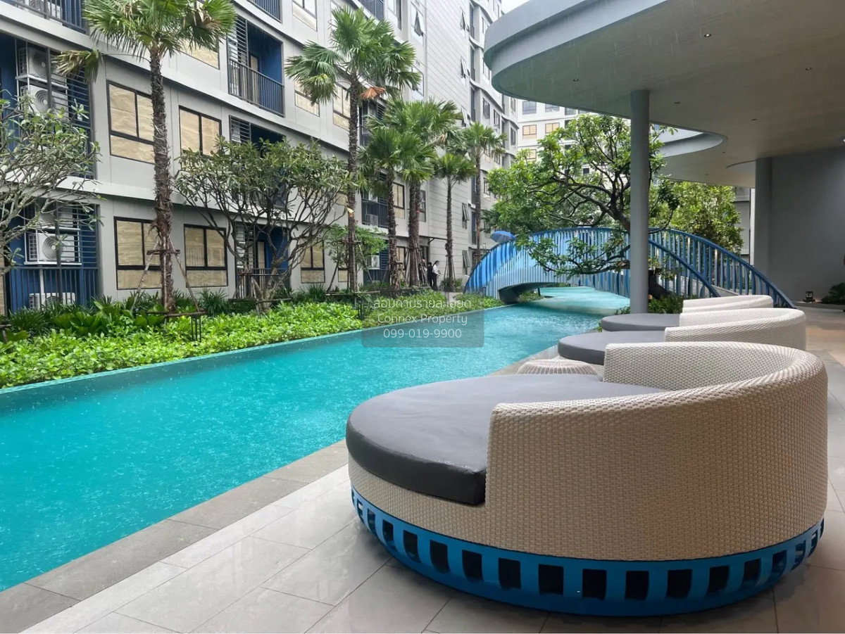 picture 🔥🔥🔥 For Rent Condo , dcondo reef Phuket , Kathu , Kathu , Phuket , CX-179295 ✅ Live chat with us ADD LINE @connexproperty ✅ 🔥🔥🔥 - 12/12