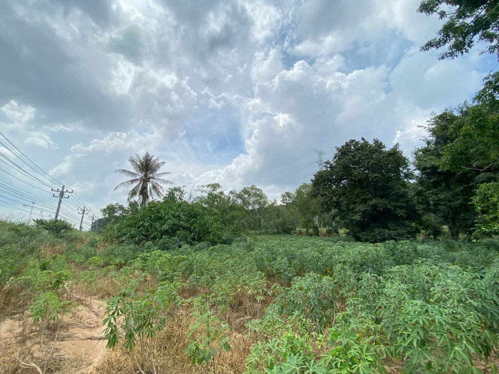 รูป (EEC) STRATEGIC LAND OPPORTUNITY HIGHWAY 331 FRONTAGE - รูปที่ 12/12