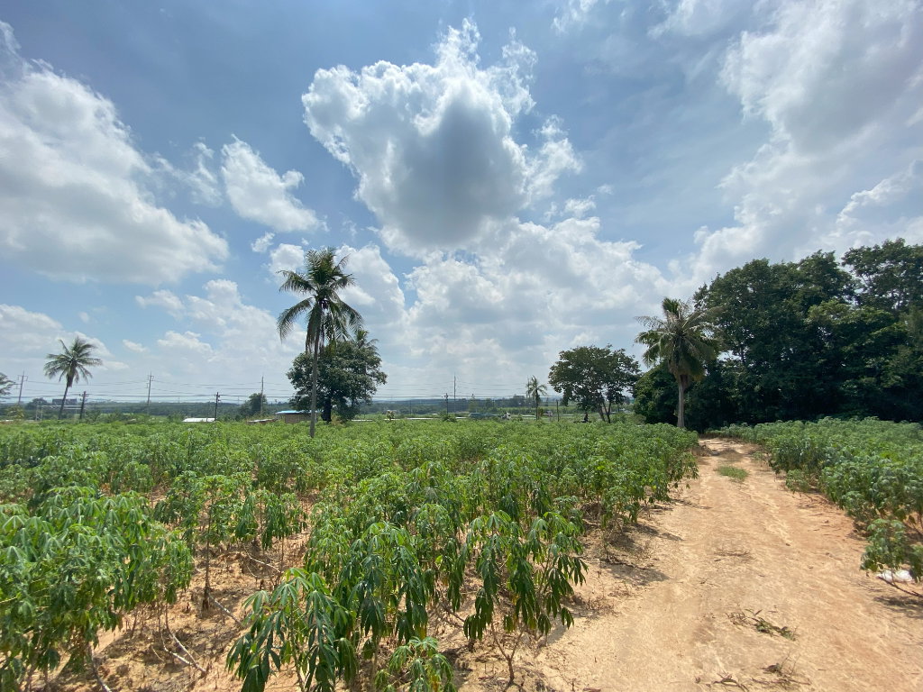 รูป (EEC) STRATEGIC LAND OPPORTUNITY HIGHWAY 331 FRONTAGE - รูปที่ 9/12