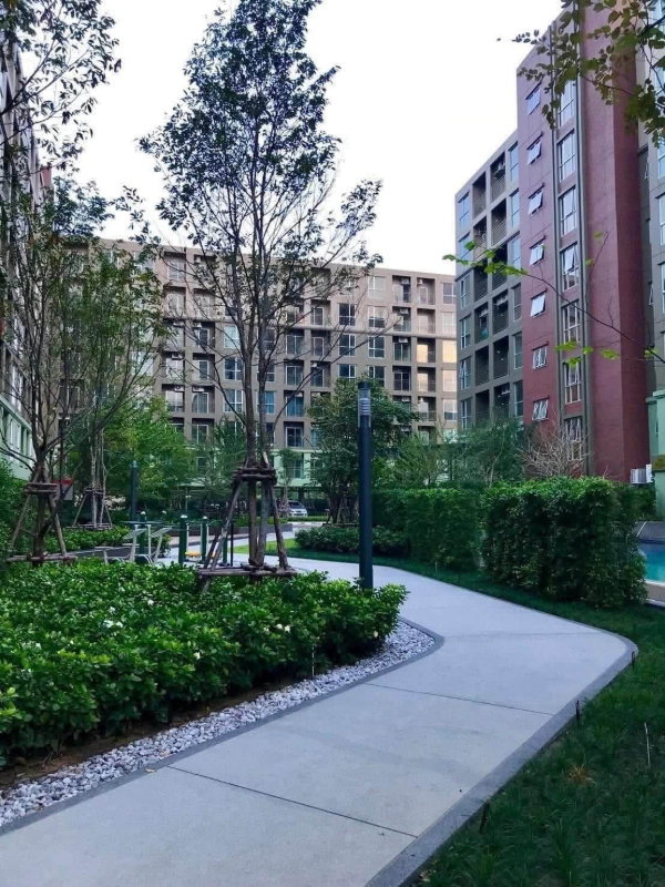 รูป 💮ให้เช่าคอนโด Lumpini Place Bangna Km.3 ใกล้ Central บางนา ห้องสวย 27 ตรม. มีเครื่องซักผ้า เช่าเพียง 9500- - รูปที่ 6/6