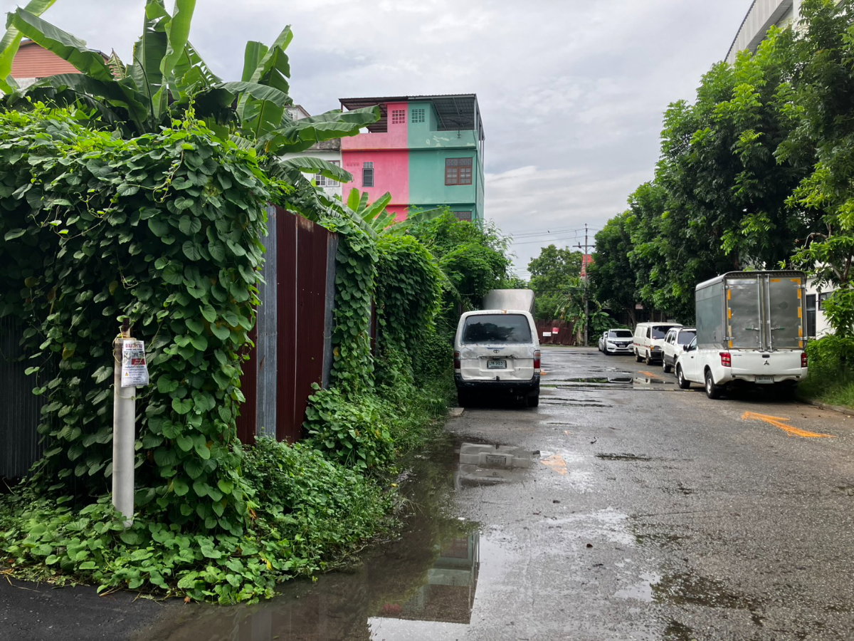 picture Land for long-term rent near Paradise Park Mall and Seacon Square Srinakarin - 8/8