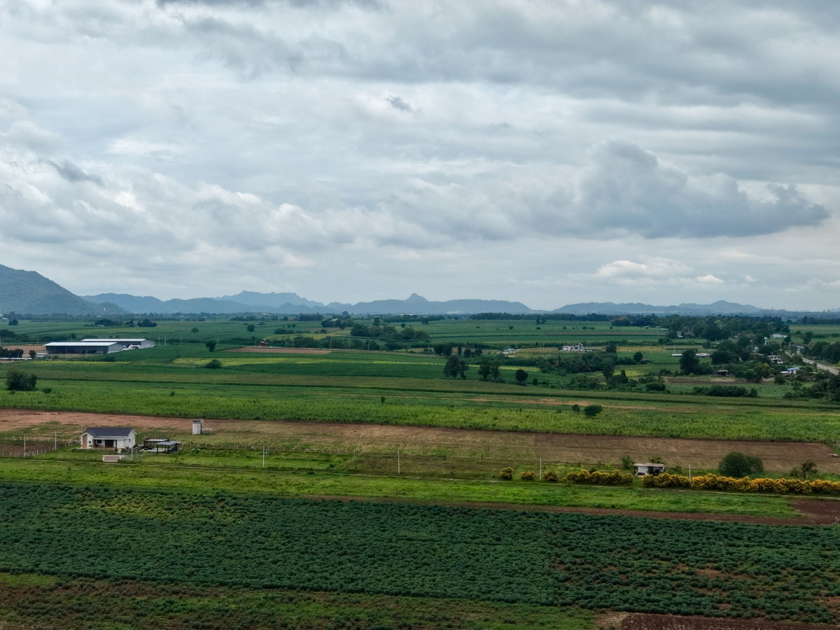 รูป ลดด่วน ต่อรองลดได้อีก ที่ดินบ้านสวนแก่งคอย ปลอดภัยมีเพื่อนบ้าน อากาศบริสุทธิ์ น้ำไม่ท่วม ใกล้เมือง - รูปที่ 13/22