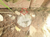 listing thumbnail image 14