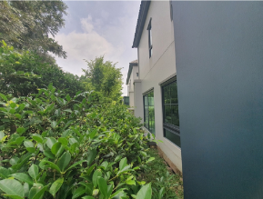 รูป บ้านเดี่ยว 59.9 ตร.วา โครงการ โครงการสราญสิริ ราชพฤกษ์-345(ซอยถนนเมนโครงการ) นนทบุรี ปากเกร็ด นนทบุรี 10.7M - รูปที่ 21/34