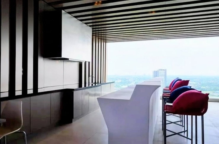 picture CONDO For SALE closes to MRT/Central/Ikea - 33/53