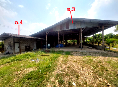 บ้านเดี่ยว แม่แตง เชียงใหม่ : บ้านเดี่ยว 1349 ตร.วา แม่แตง เชียงใหม่ แม่แตง เชียงใหม่ 6M