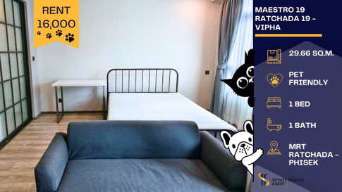 🐾 Rare Pet-Friendly & Ready to Move! • Maestro 19 Ratchada 19 | 1 Bed 29.66 sqm at 16,000/mo ✨ Book Free Viewing Now!