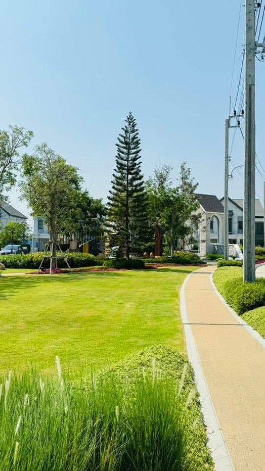รูป สราญสิริ พระราม 2 4 bedrooms, for sale - รูปที่ 12/13