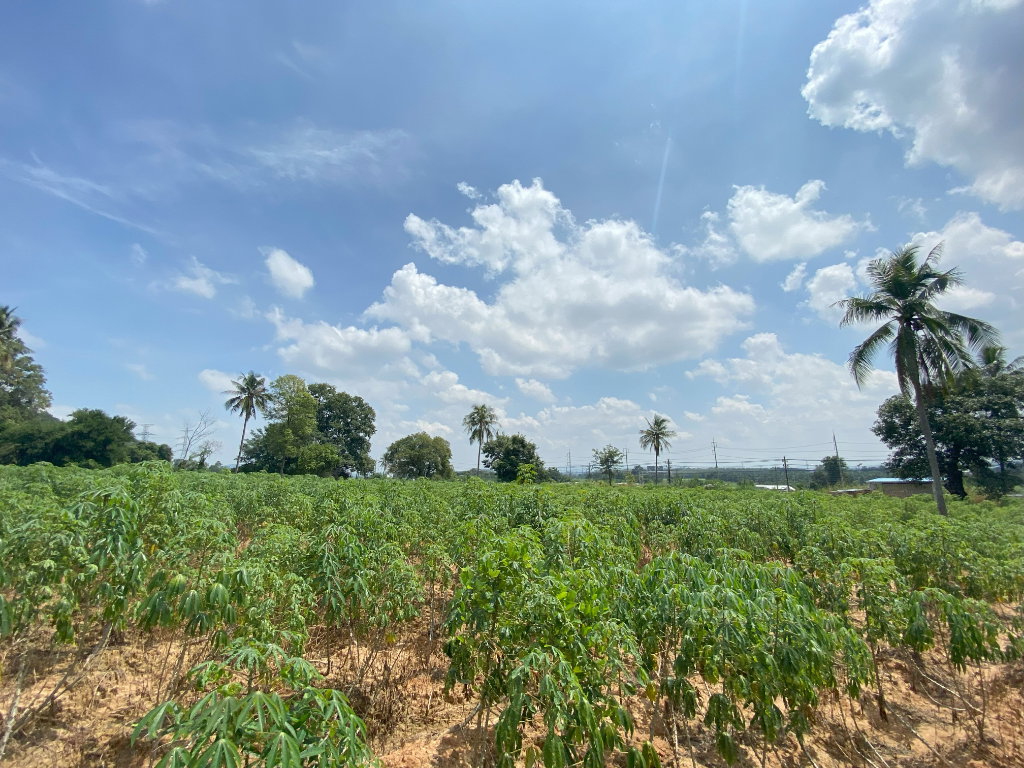 รูป (EEC) STRATEGIC LAND OPPORTUNITY HIGHWAY 331 FRONTAGE - รูปที่ 11/12