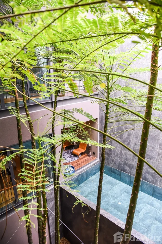 picture 4 Bedroom House for rent in Lat Phrao, Bangkok  6850307 - 4/20