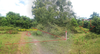 listing thumbnail image 12
