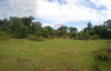 listing thumbnail image 11