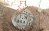 listing thumbnail image 15