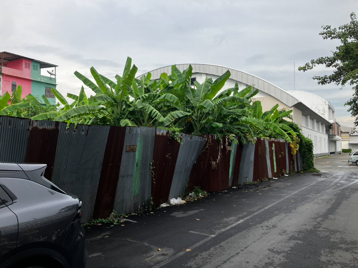 picture Land for long-term rent near Paradise Park Mall and Seacon Square Srinakarin - 6/8