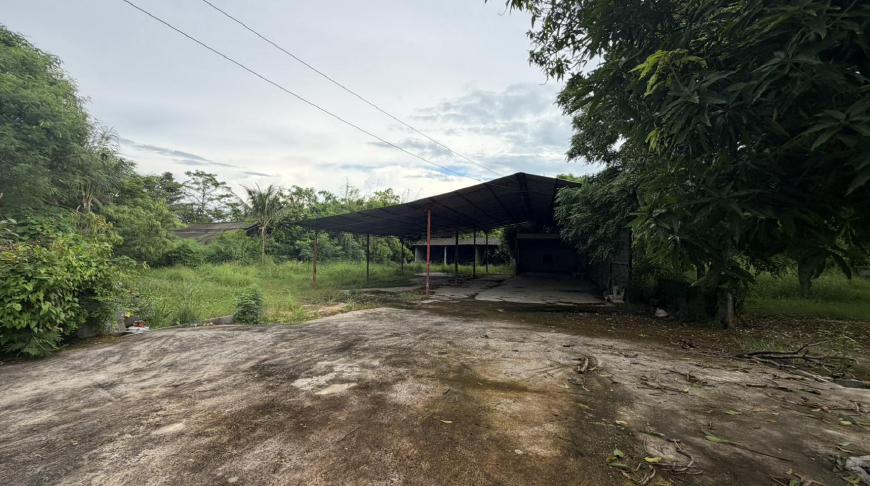 picture OFFICE 499.5 Sq.w. Muang Roi Et Roi Et for 14.1M - 16/25
