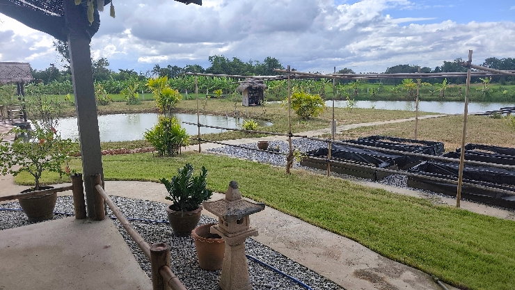 รูป ขายบ้านสวนสวยพร้อมที่ดิน3ไร่1งาน54ตาราวามีบ่อน้ำ สองบ่อเลี้ยงปลาทำสวนที่ดินติดถนนสาธารณะใกล้เทศบาลตำบลสามัคคีพร้อมทำสวนไว้ยามเกษียณมีระบบน้ำเรียบร้อย - รูปที่ 16/33